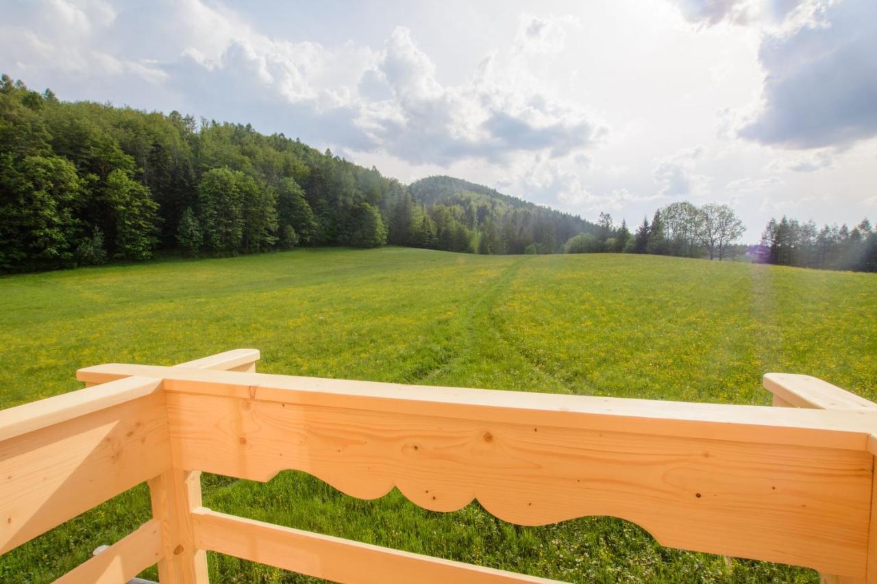Domek Trzy Doliny Zakopane, Three Valleys Chalet With Jacuzzi Екстериор снимка